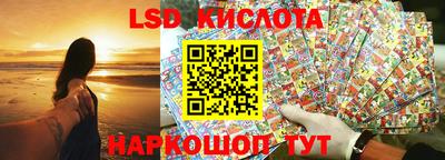 гидра Заводоуковск