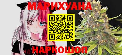 гидра Заводоуковск