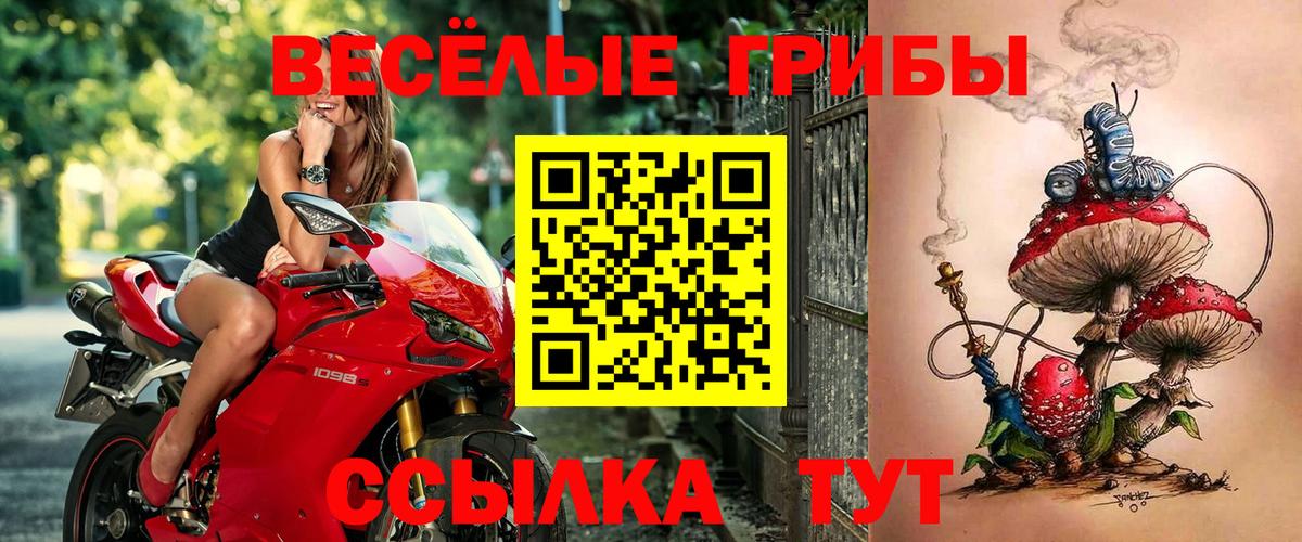 Люберцы  Псилоцибиновые грибы Psilocybe  Вход с VPN 