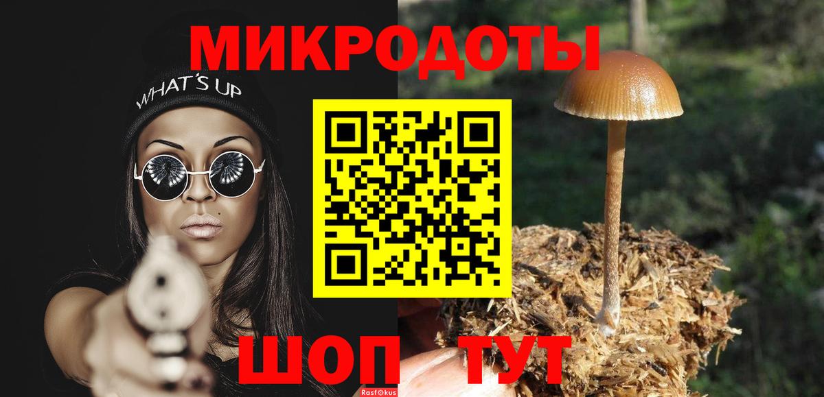 Псилоцибиновые грибы мицелий Люберцы